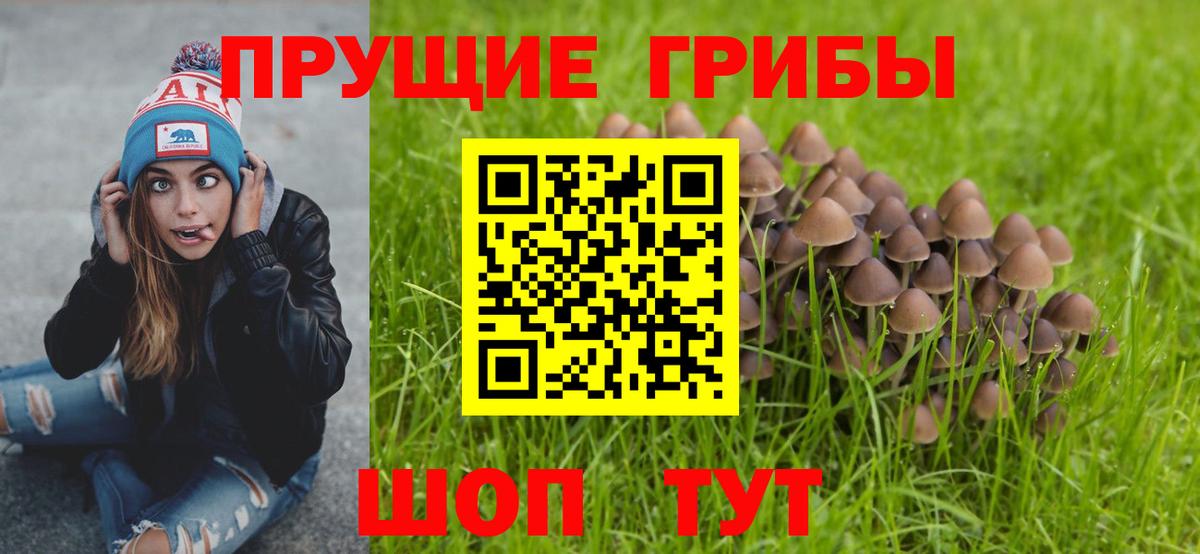 как найти закладки  Галлюциногенные грибы Psilocybine cubensis  Вход с VPN  Гуково 